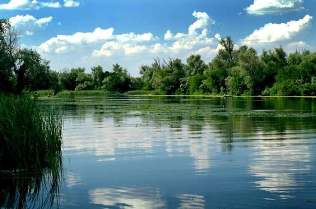 Family Complex Ekokomfort Sagunovka Εξωτερικό φωτογραφία